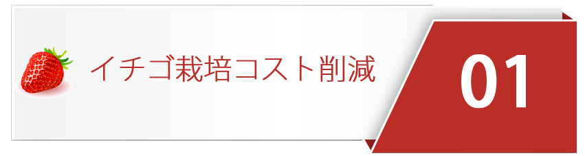 イチゴ栽培コスト削減