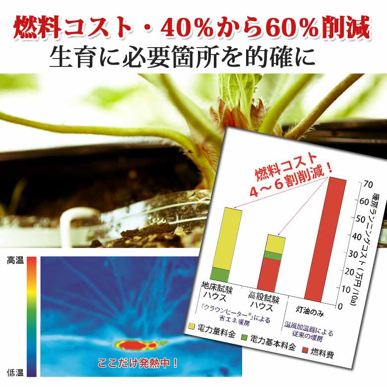 イチゴ栽培 省エネ対策クラウンヒーター